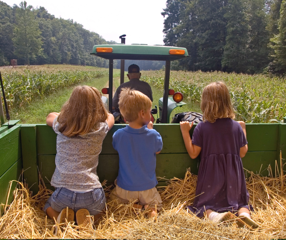 Children enjoying a tractor hayride.